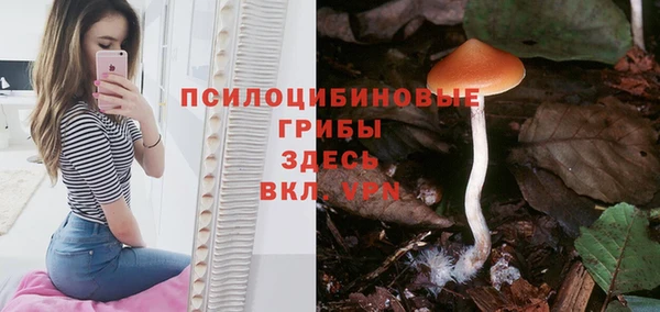 прущая мука Губаха