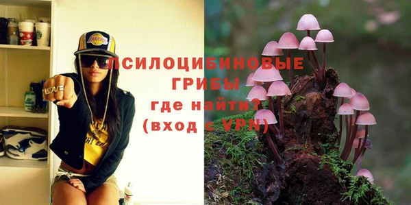 СК Грязи