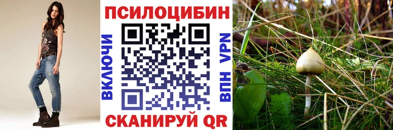 kraken ссылки  Приморск  Галлюциногенные грибы MAGIC MUSHROOMS 